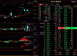 網達軟件603189 主力資金動向與明日計算機軟硬技術開發前景分析